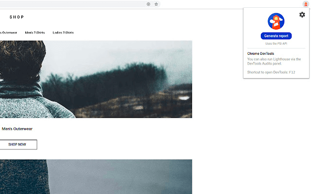 Lighthouse extension on Google Chrome