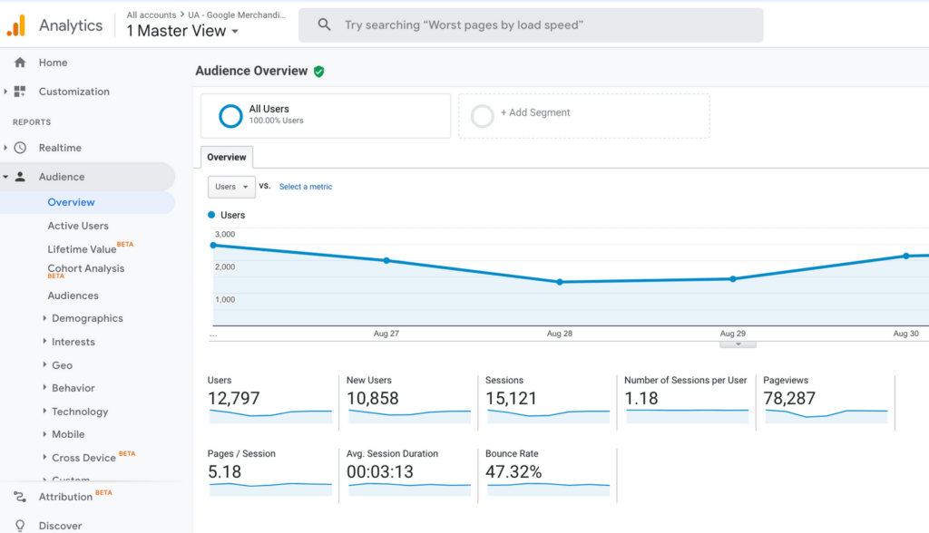 google analytic audience overview